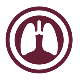 white lungs over a burgundy background